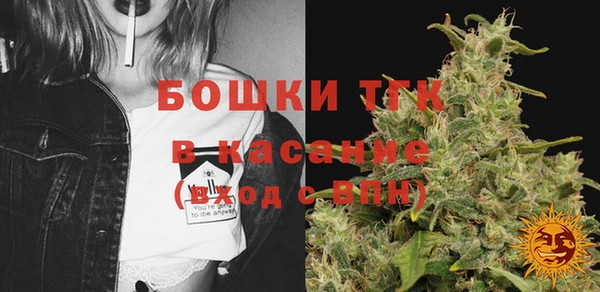 гидра Аркадак