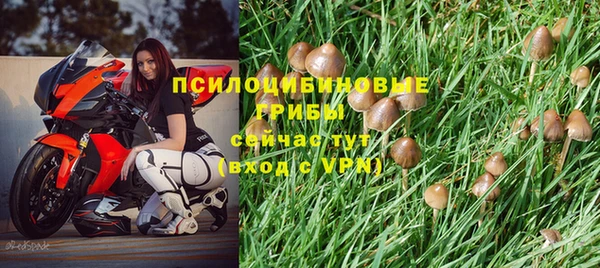 дурь Арсеньев