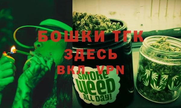 дурь Арсеньев