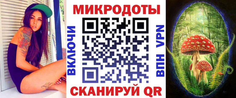 где продают   Злынка  Псилоцибиновые грибы ЛСД 